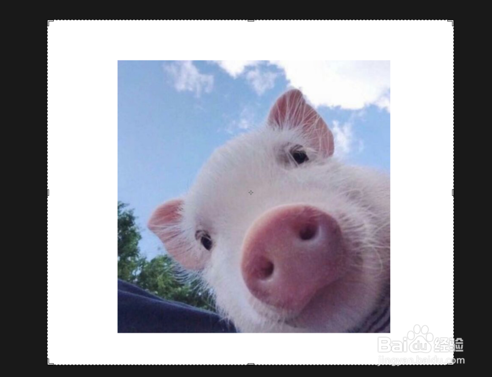 ps怎样快速调整画布大小