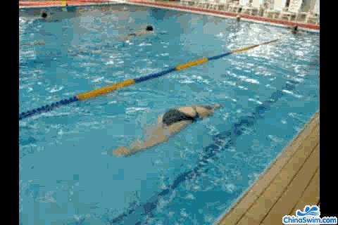 怎样通过找腰找波浪来学习蝶泳