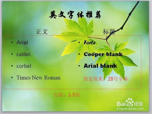 ppt应该使用什么样的字体才好