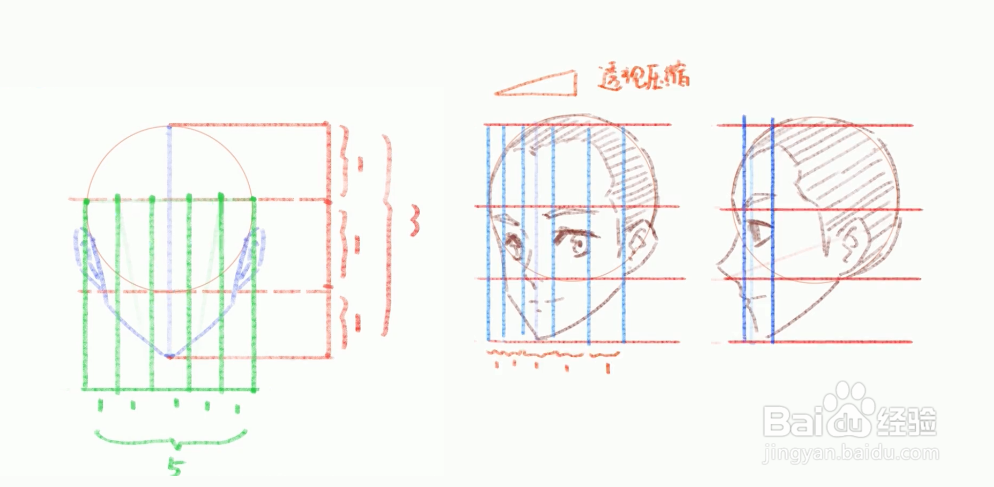 绘伴板绘教程-动漫脸部五官画法