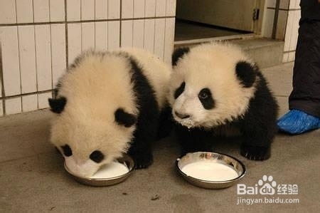 牛奶的好处你清楚么，让我来告诉你