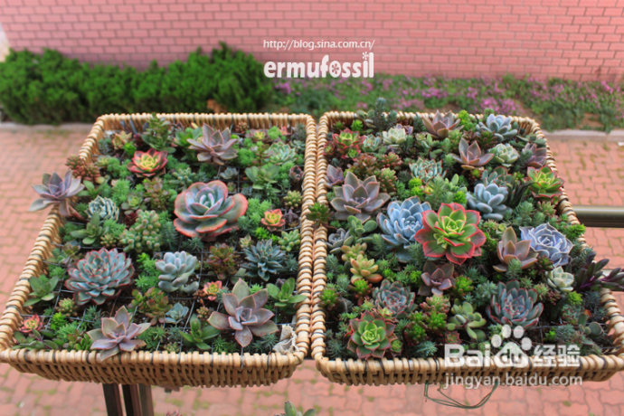 2012年6月23日 记录