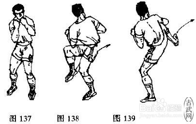 散打基本功之腿法教学2