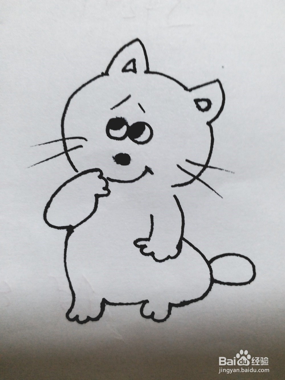 猫的简笔画法《一》