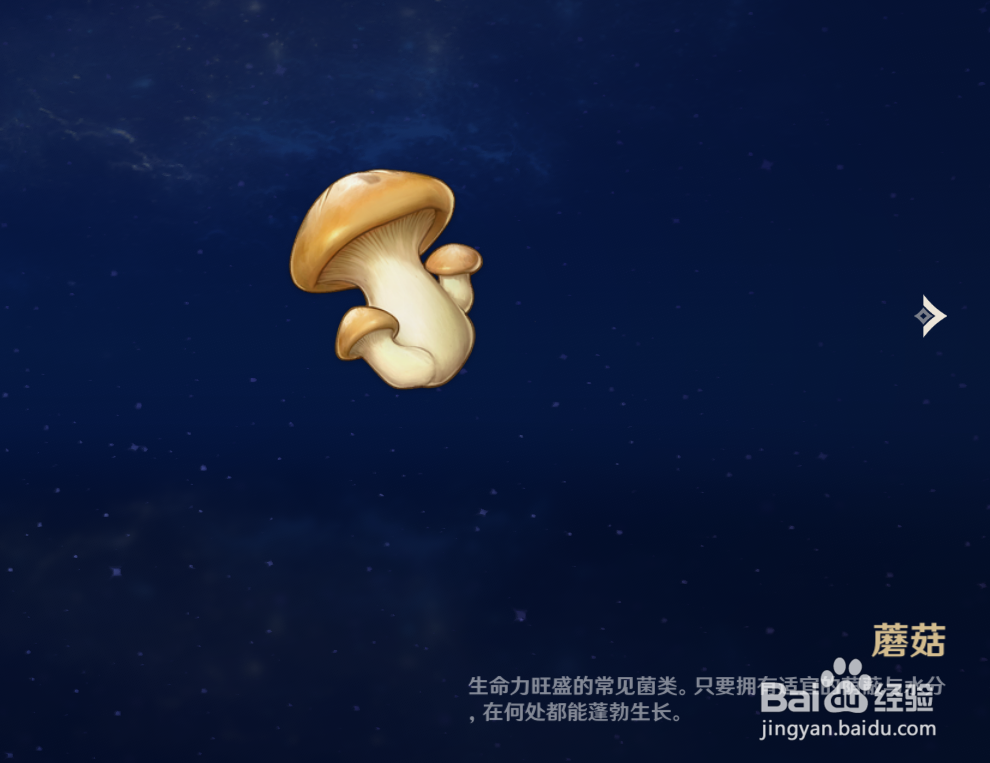 原神中如何查看蘑菇物品的解说