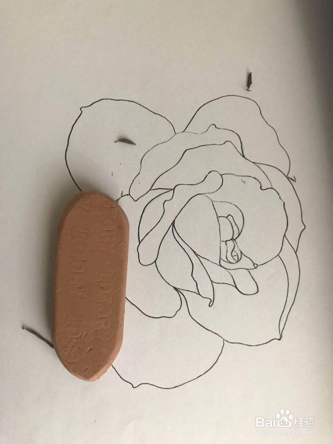 玫瑰花黑白线描画