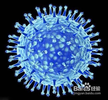 h7n9禽流感预防知识大全