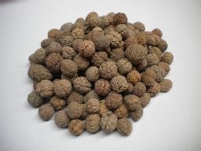 羊肉去膻的小窍门