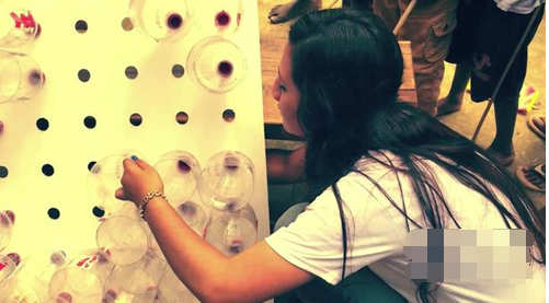 用一堆塑料瓶做成