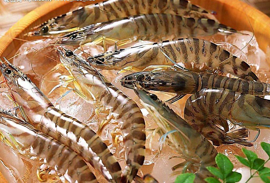 虾类可以补充什么营养元素