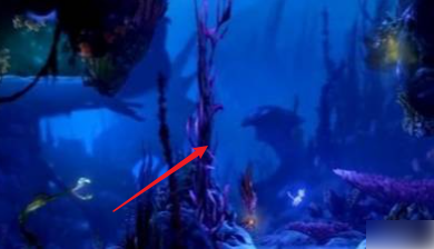 光之池的大石头怎么开