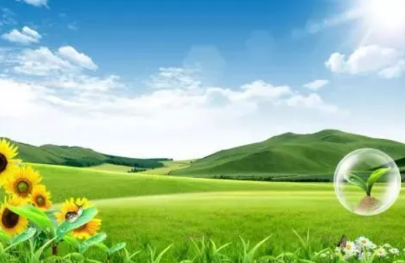 光呼吸的场所是什么