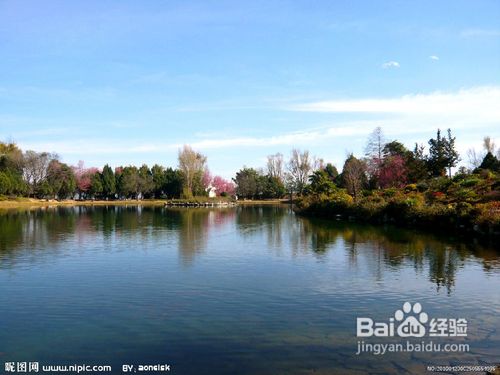 妇女节云南特价之旅