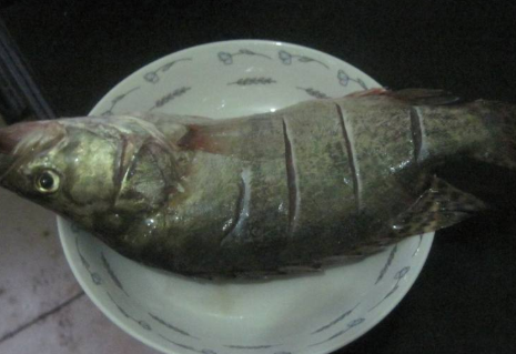 山药为什么不能和鱼一起吃