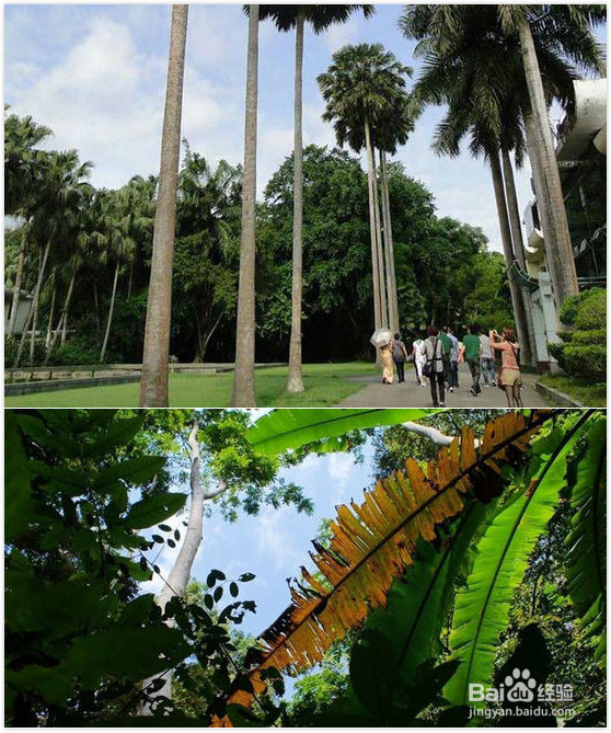 北京马拉松遇重霾 盘点全国十大洗肺的森林氧吧