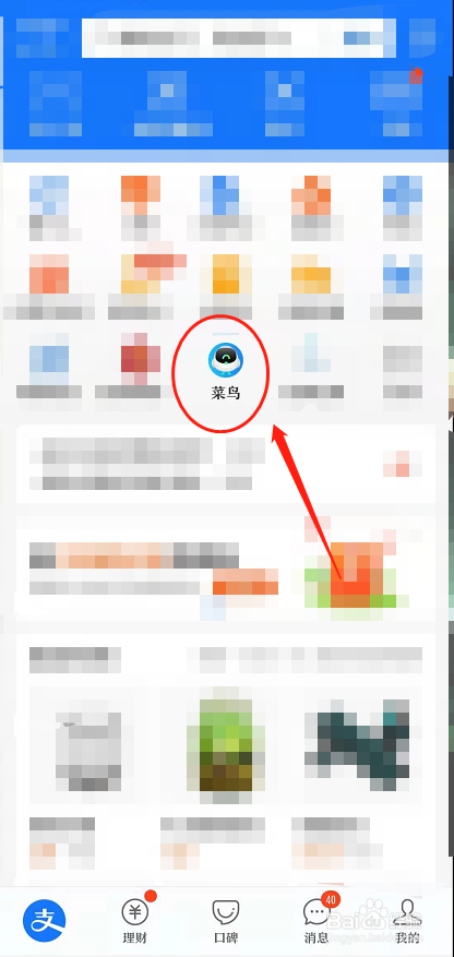 支付宝菜鸟海洋怎么进入呢