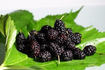 女人来“例假”吃这5种食物，让你永葆青春！