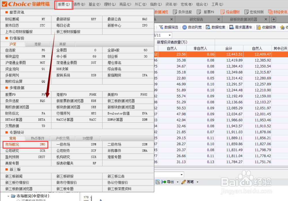 如何查看投资者开户情况