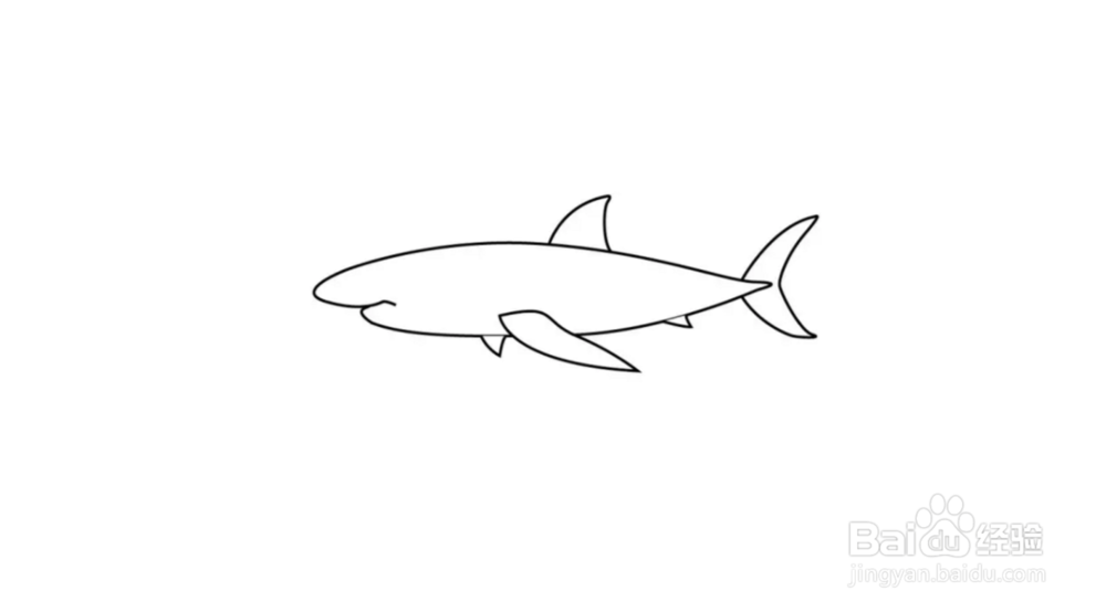 鲸鱼简笔画教程