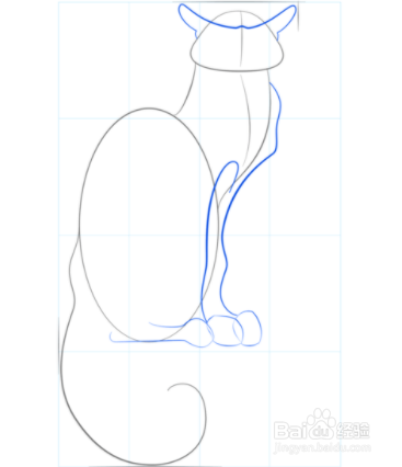 画出猫腿和耳朵的参考线