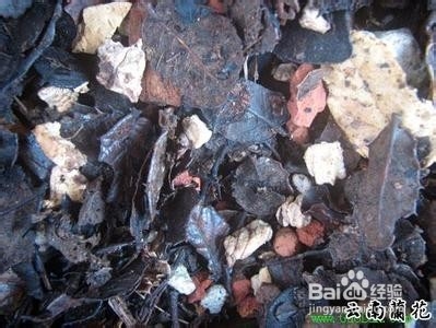 养兰花植料应该具备的基本特点