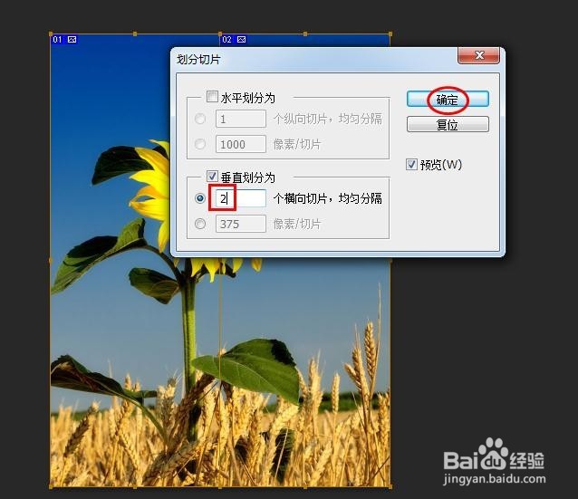 ps怎么把图片裁成两张