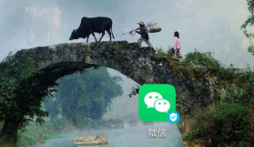 如何在微信里添加视频号