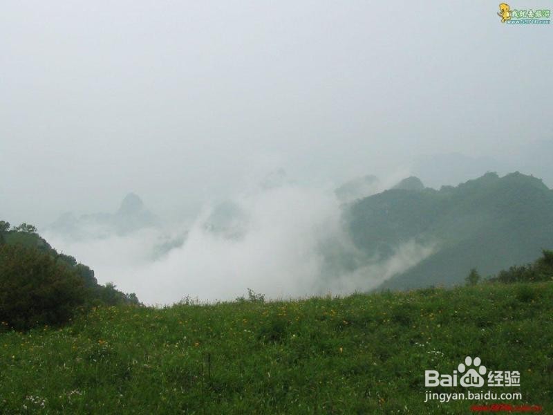 五岳寨风景区游玩攻略