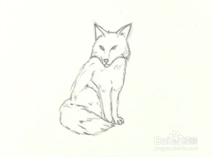 狐狸画法铅笔图片