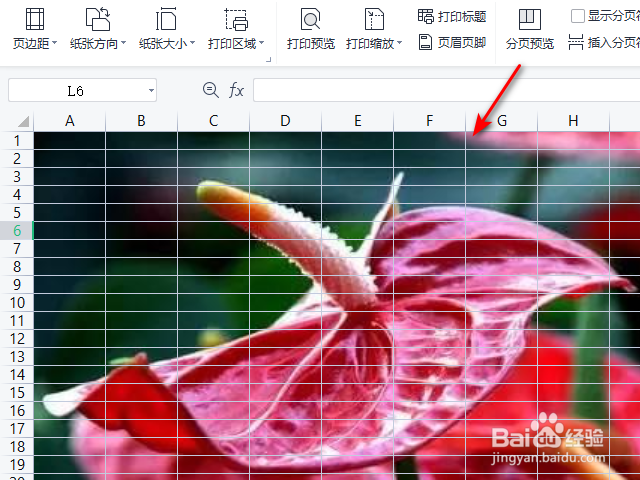 WPS2021表格的背景图片怎么设置