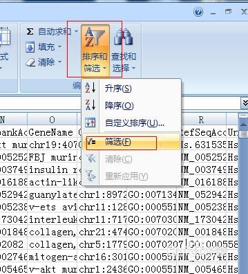Excel 2007中如何筛选并删除空白单元格