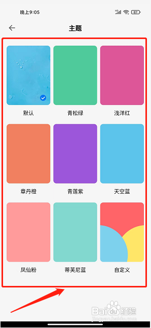 靠谱背单词app怎么设置主题样式颜色