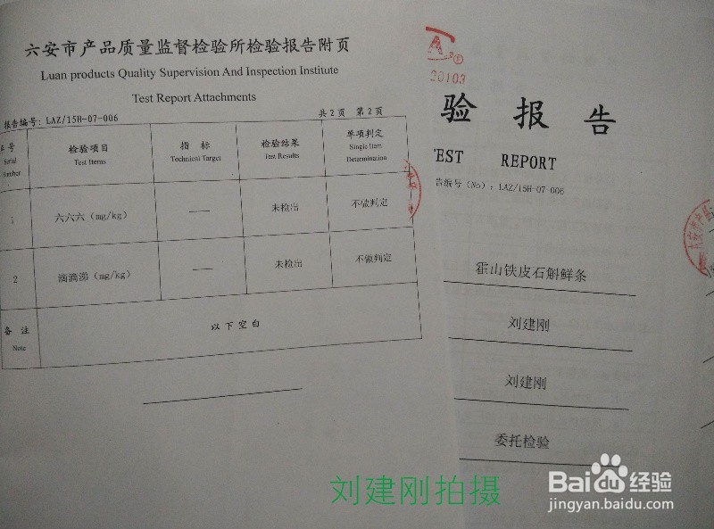 霍山石斛米斛的地方标准是如何规范的