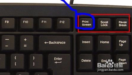 excel如何截图