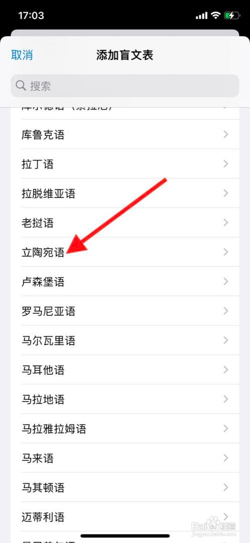 iPhone旁白添加“立陶宛语”盲文表
