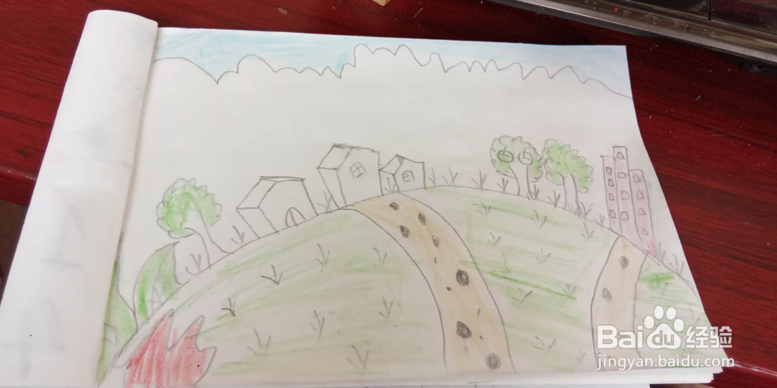 我与森林共呼吸手抄报