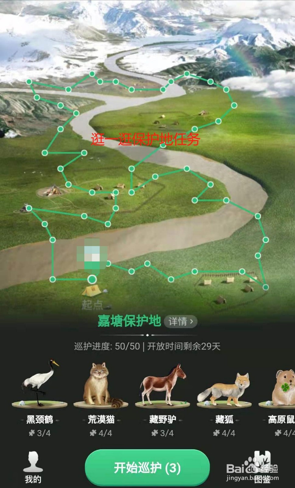 蚂蚁森林如何获得千年华山松装扮