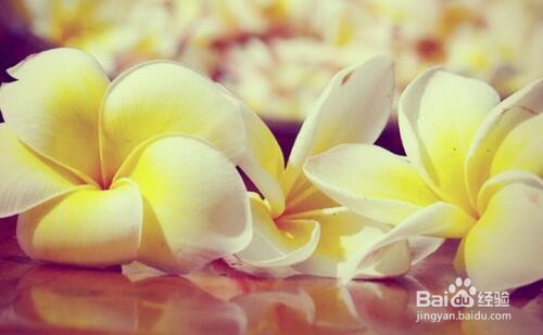 银行校园招聘:五大行好还是股份制银行