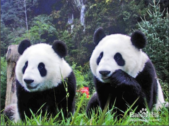 photoshop cs3如何给图片补光