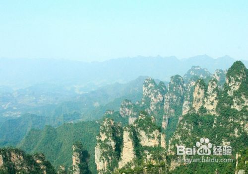 成都到张家界旅游小贴士