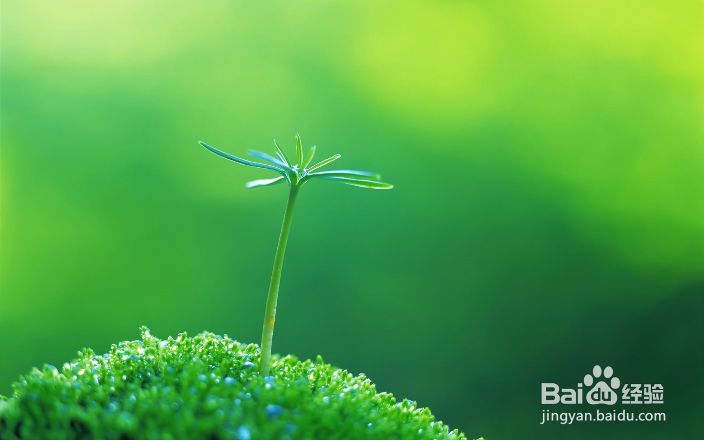 看电脑屏幕模糊重影是怎么回事？