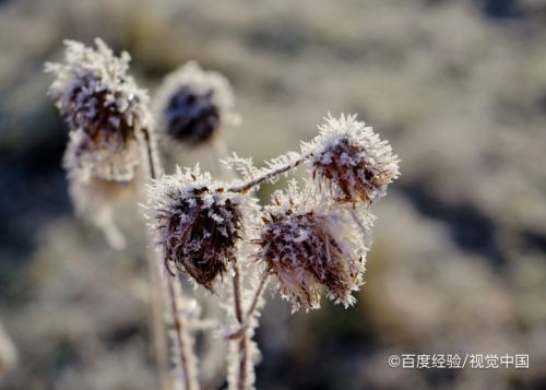 冷霜是怎样形成的