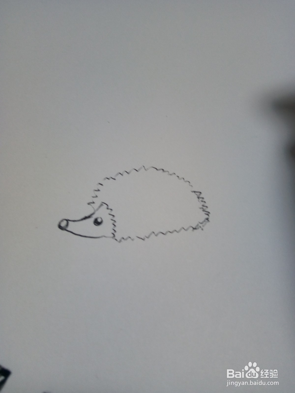 幼儿简笔画小刺猬