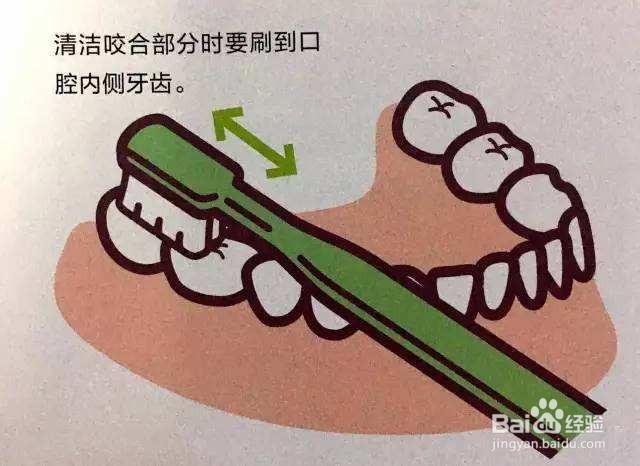 怎样刷牙才是最正确的？