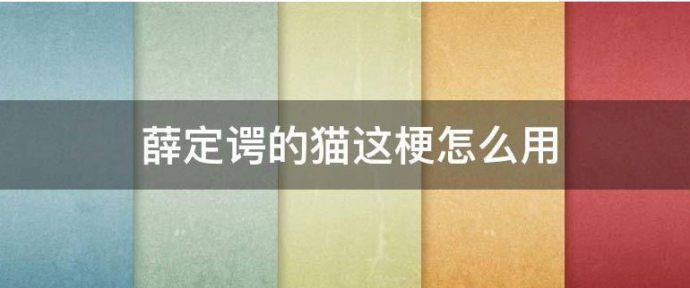 薛定谔的梗怎么用