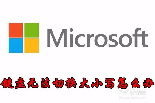 <b>Win10系统电脑无法用CapsLock切换大小写怎么办</b>