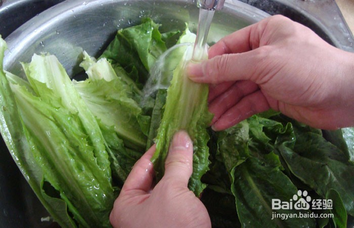 如何教孩子学会清洗油麦菜