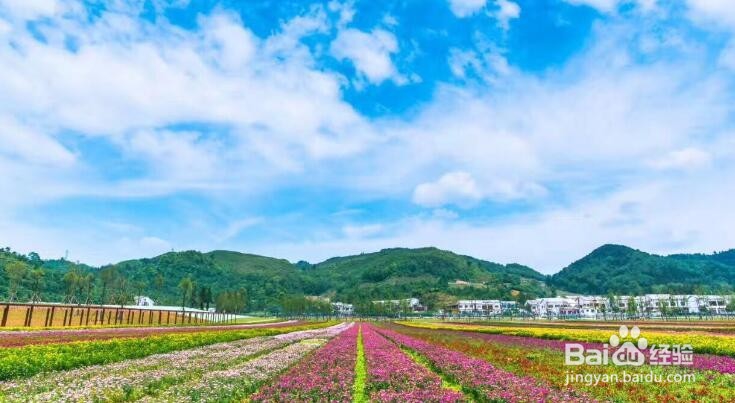 一个美食美景都有的景区:山里江南