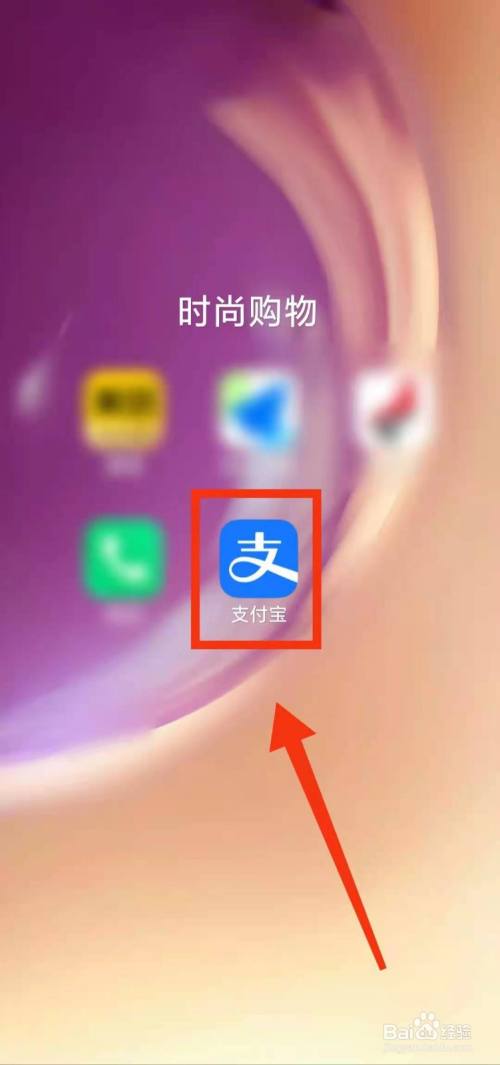 怎样查看支付宝的“花呗额度明细”
