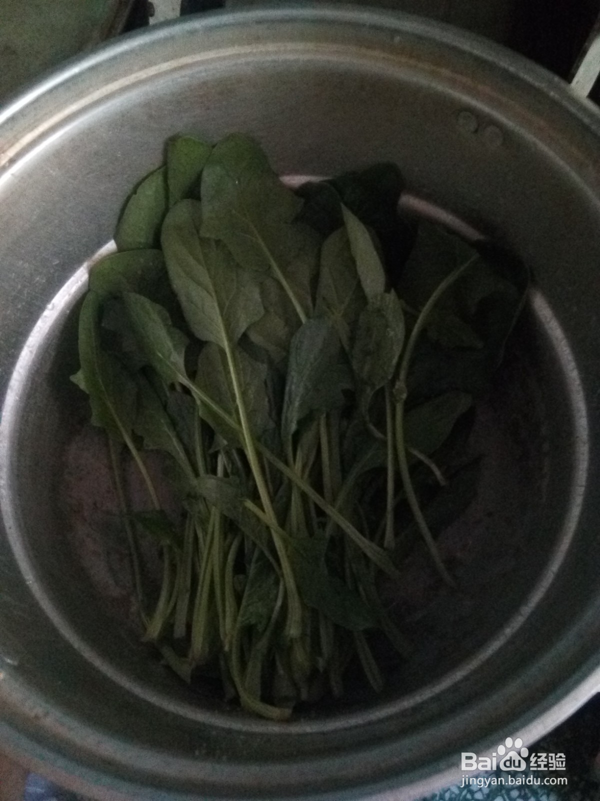 葱花拌粉条菠菜